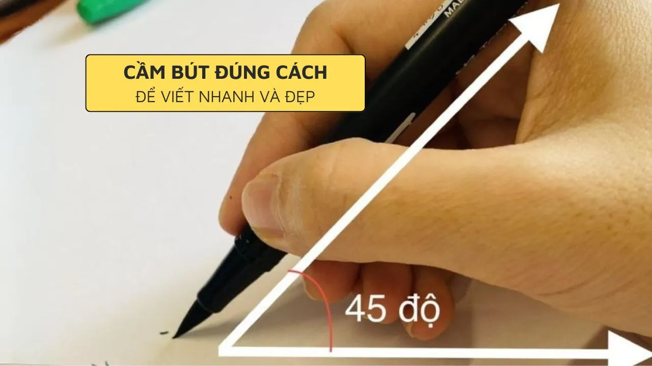 Rèn luyện kỹ năng vận động tinh và sự tập trung thông qua việc tô màu chi tiết
