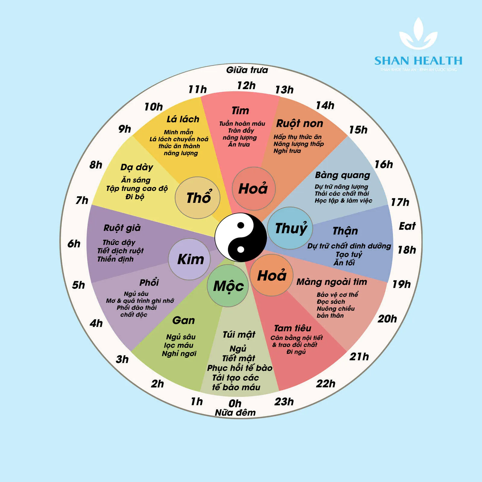 dong-ho-sinh-hoc-3 Thiết lập nhịp sinh học ổn định giúp trẻ phát triển thói quen sinh hoạt lành mạnh và khoa học